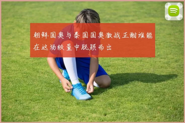 朝鲜国奥与泰国国奥激战正酣谁能在这场较量中脱颖而出