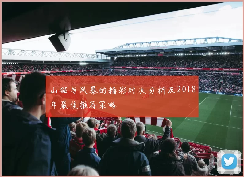 山猫与风暴的精彩对决分析及2018年最佳推荐策略